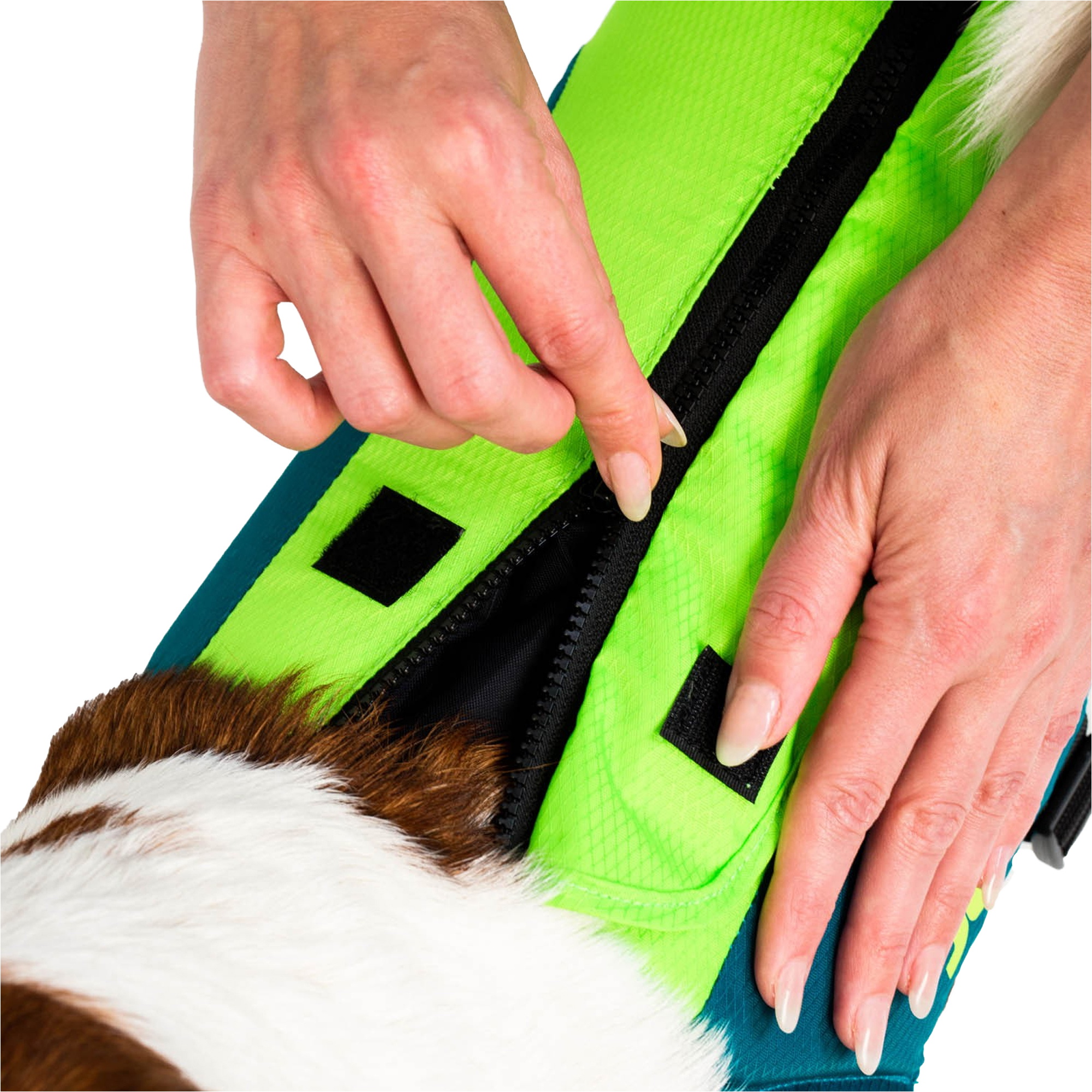 2026 Jobe Pet Vest 240023001 - Teal